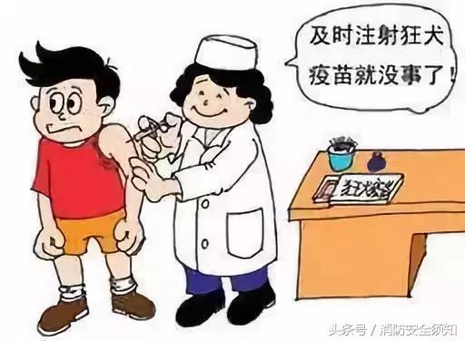 教你被狗咬的自救方法,怎样告诉孩子避免被狗咬