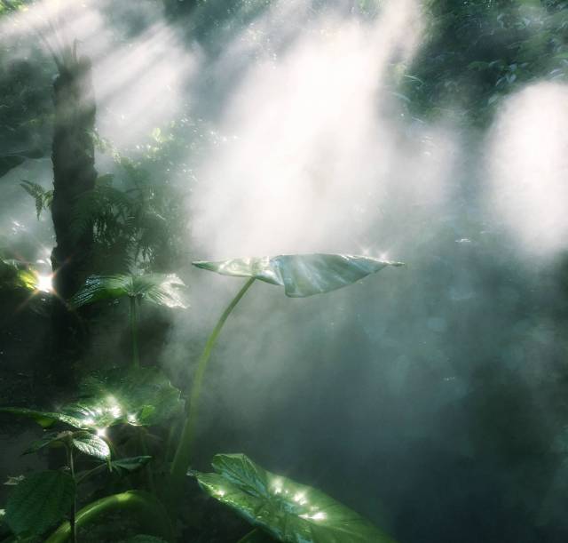 厦门小清新之旅全攻略,厦门周末夏日游