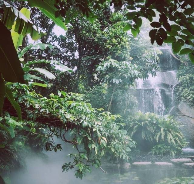 厦门小清新之旅全攻略,厦门周末夏日游