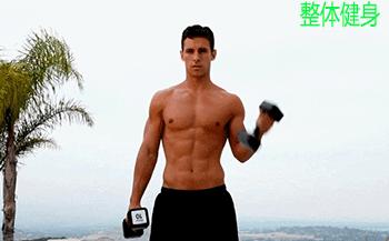 1周哑铃训练计划表,哑铃健身计划动作大全图解