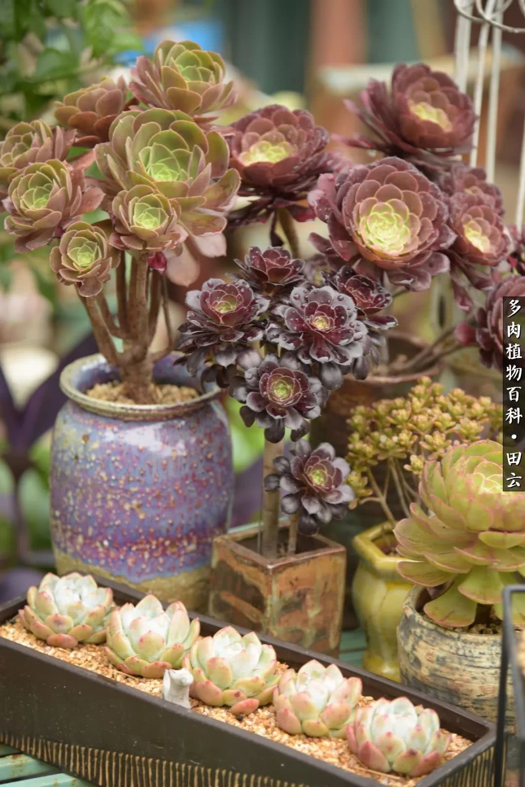 推开世界的门和自己和解,推开世界的门你所看到的风景