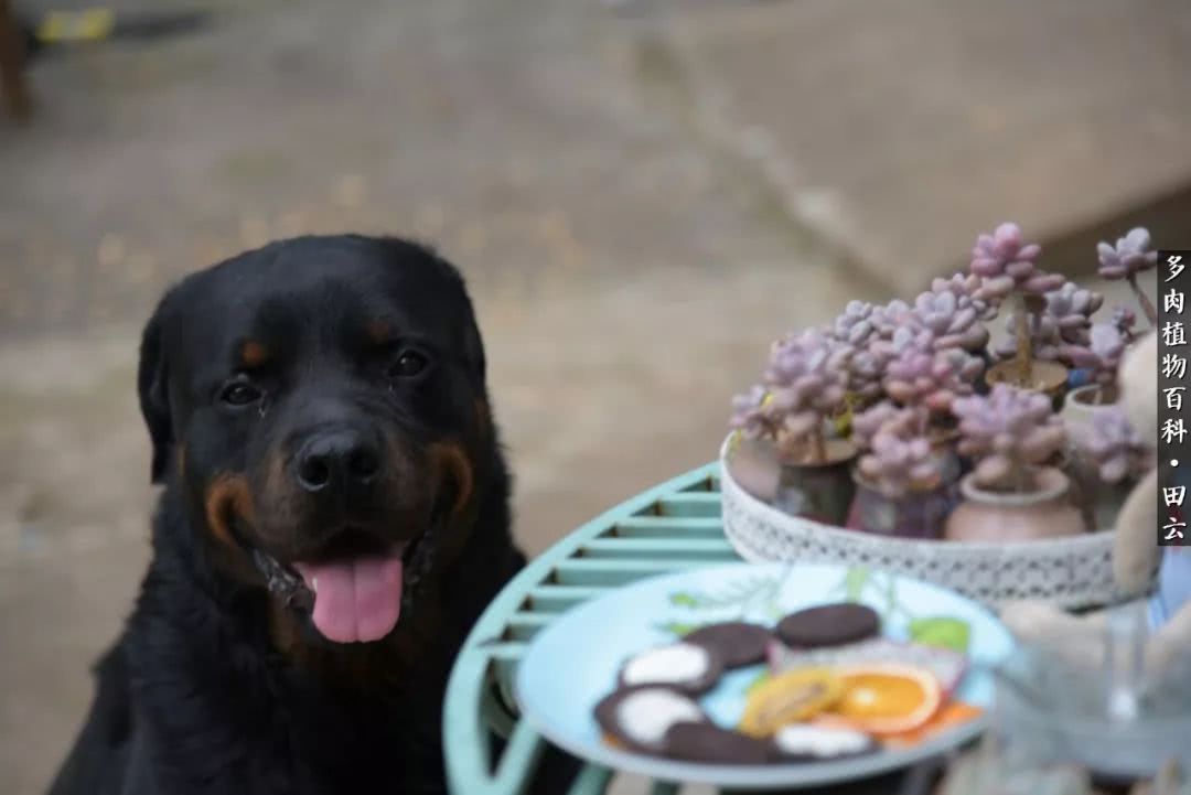 推开世界的门和自己和解,推开世界的门你所看到的风景