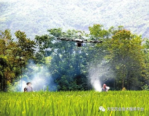 这些农药知识你一定要知道,农药四霉素缺点