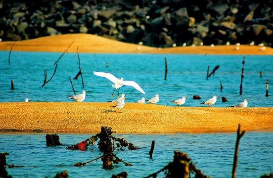 必去的绝美海岛,美哭的普吉岛完整版