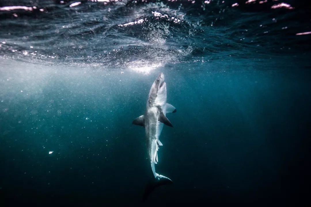 玩客说丨这里有一张东方“海盗”的藏宝图