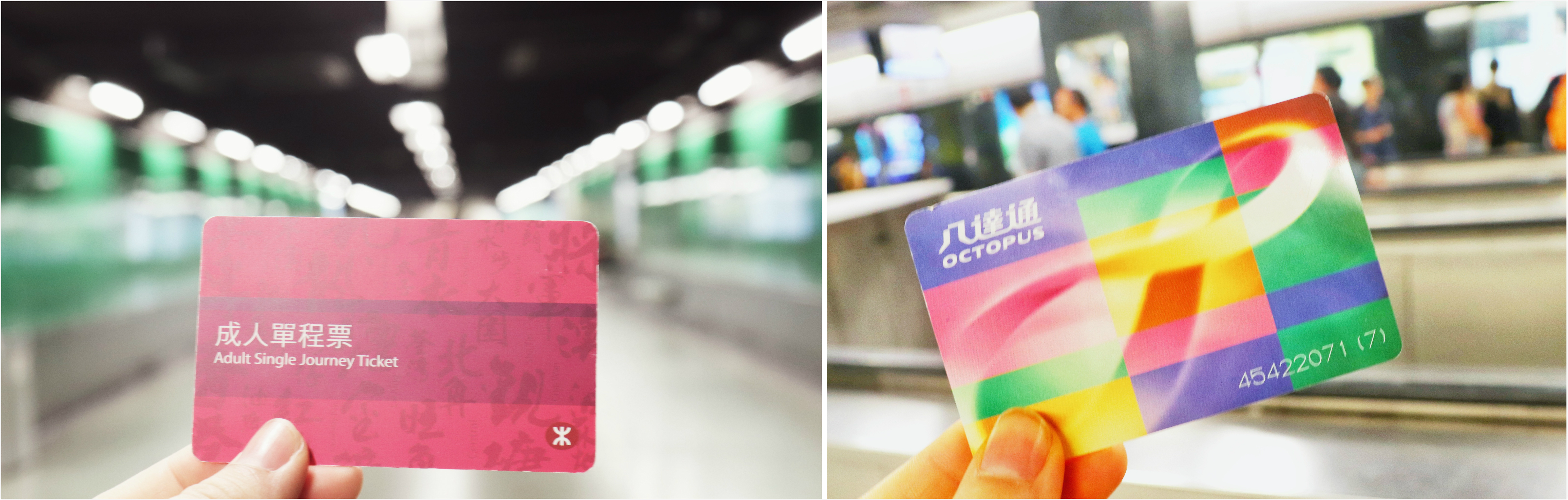 24小时香港过关攻略,香港可以这样玩攻略篇