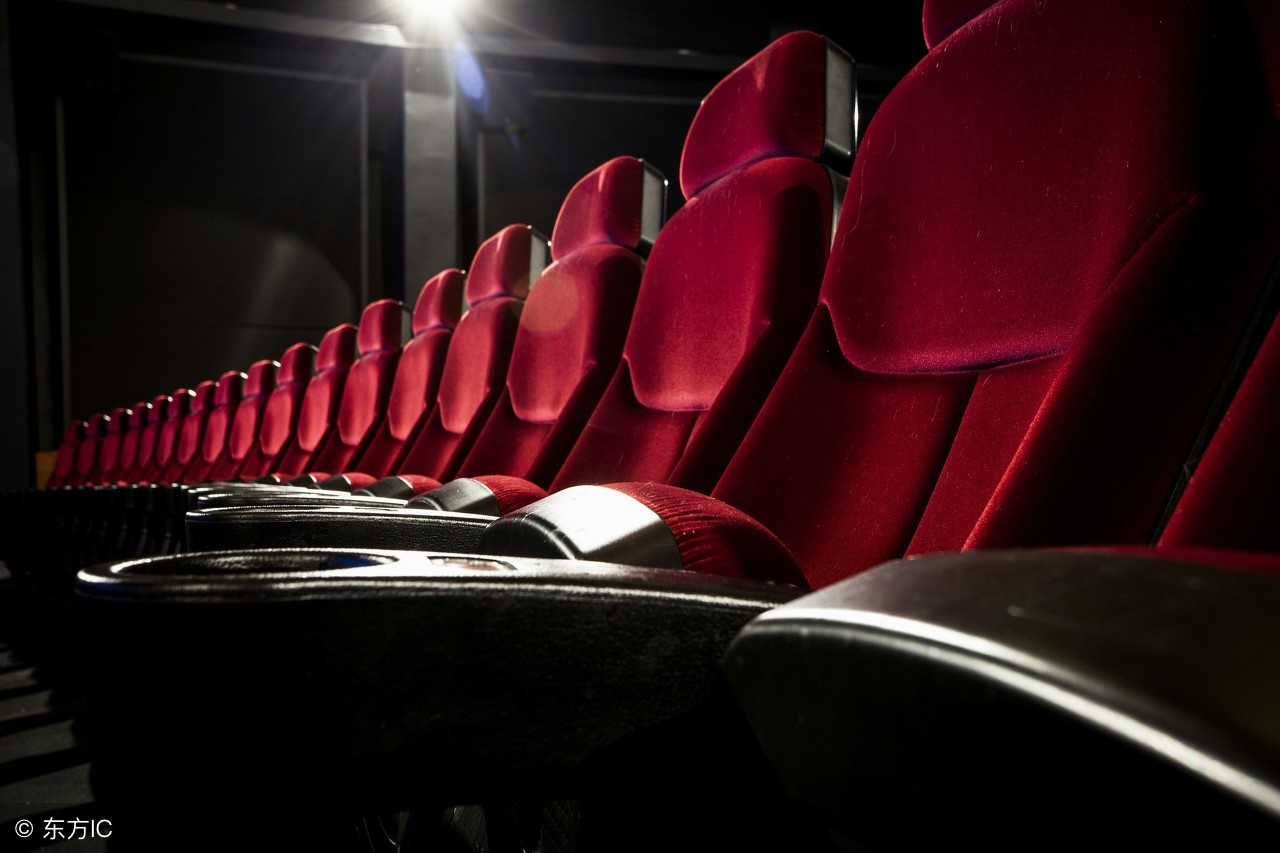 影迷路演攻略,上海电影节2024必看