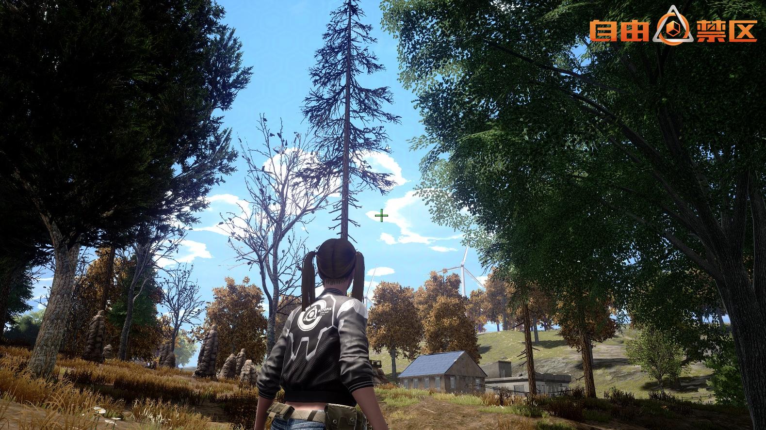 目前国产吃鸡端游有哪些,有哪些低配的吃鸡端游推荐