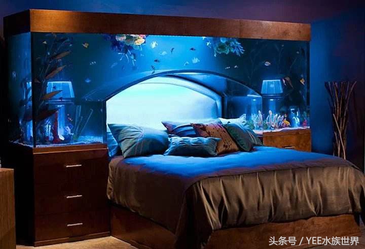 哪种鱼缸不实用,这几种鱼不要买