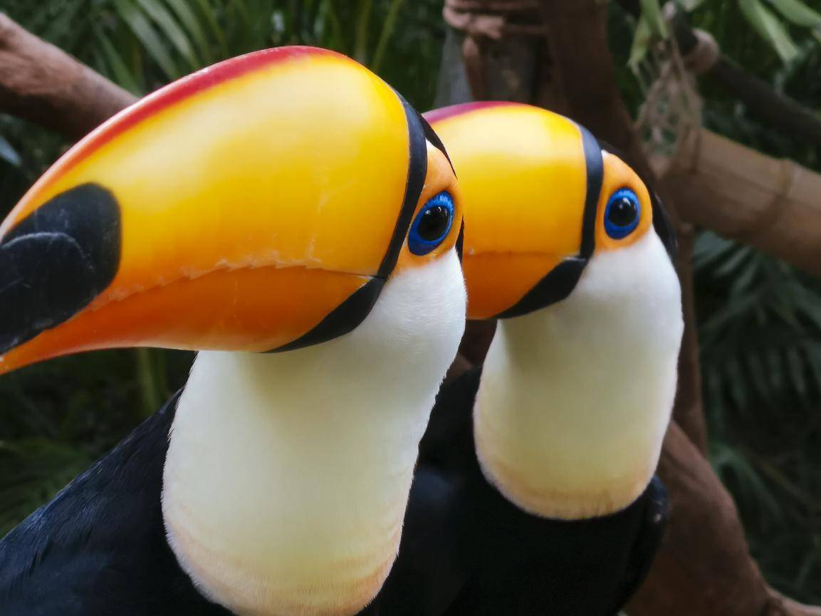 致球迷考生：打赢最后这场仗，华为P20带你见梅西