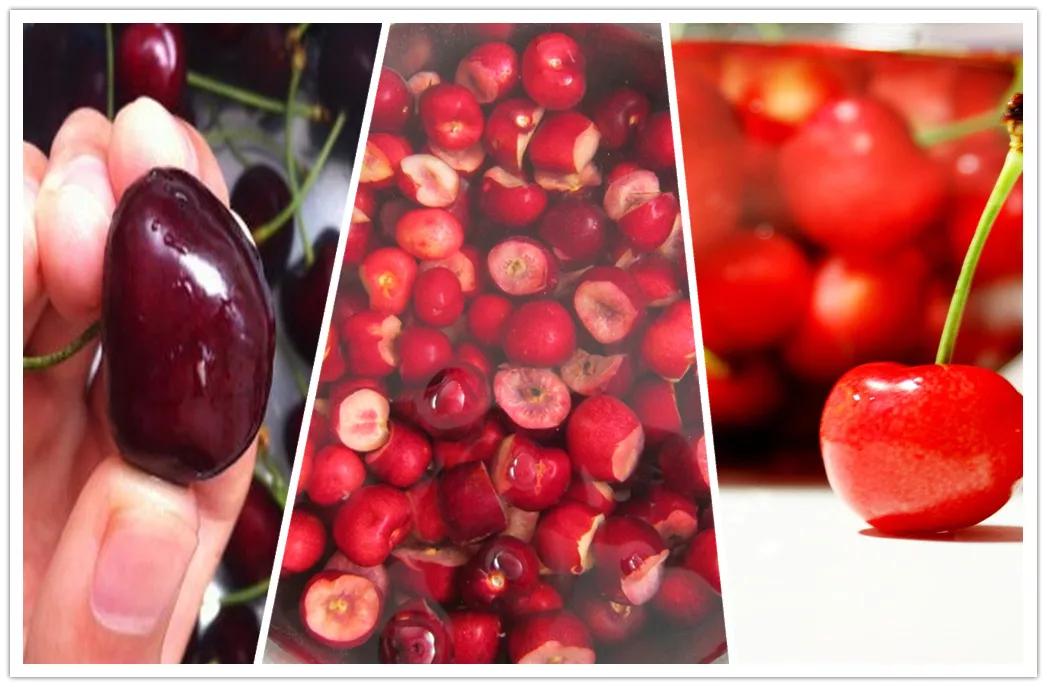 盐水泡樱桃爬出蛆,盐水泡樱桃会有虫子出来的原理