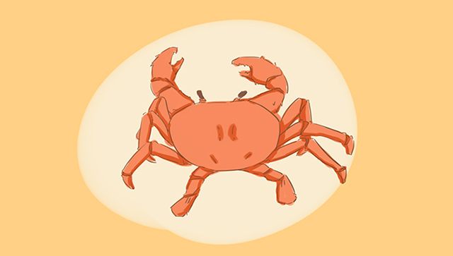 准妈妈如何有效避免流产胎停,准妈妈怎么流产