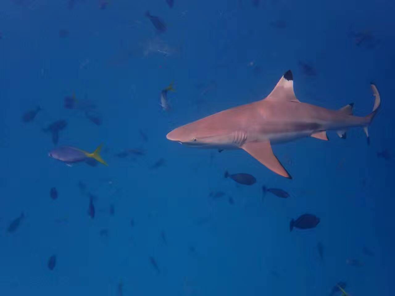 这个海岛国家｜景美人少，一个拍照P图的圣地！