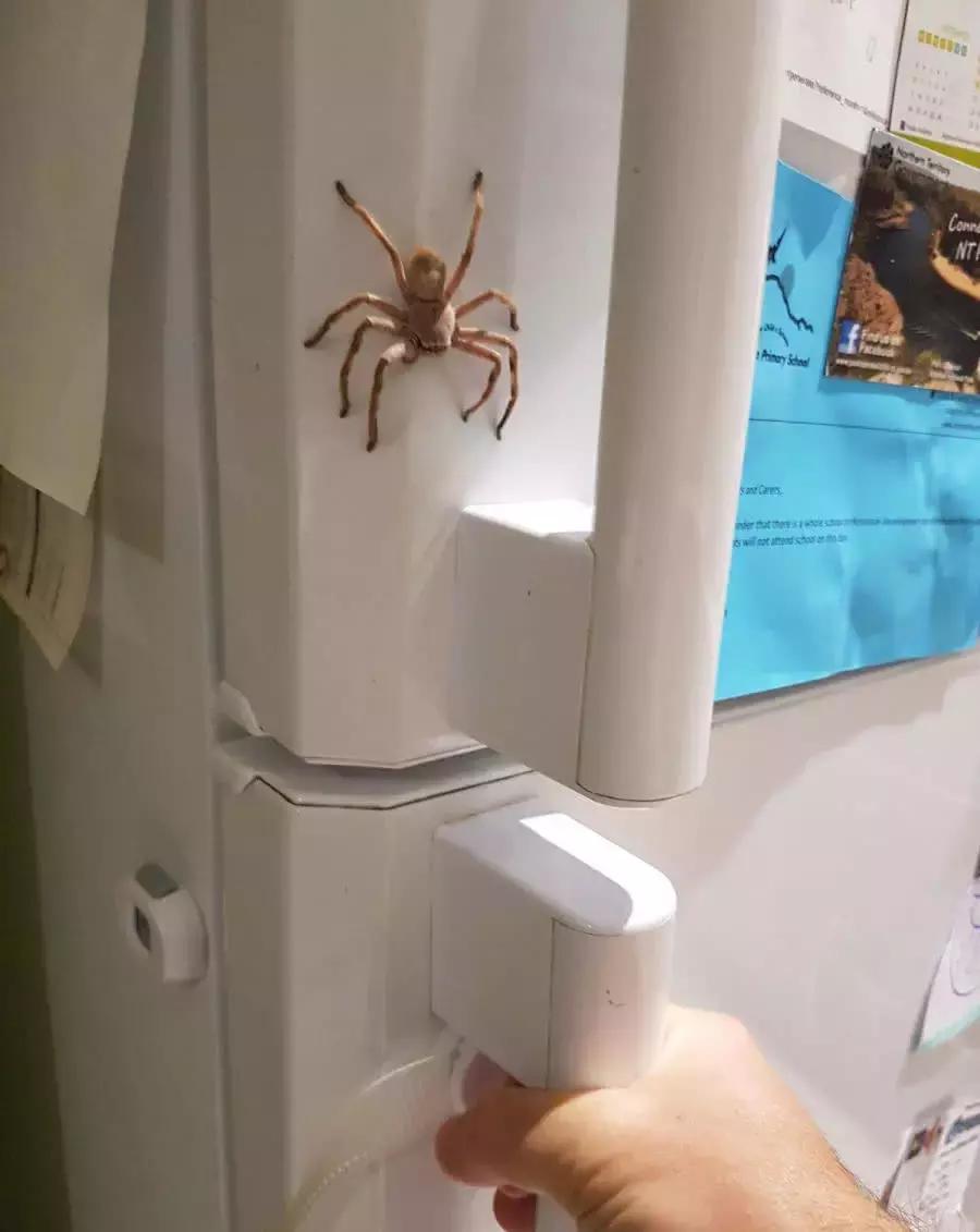 生活总有“点儿背”的时候！