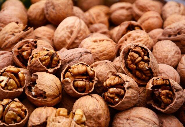 四川正宗核桃,四川特产核桃大全