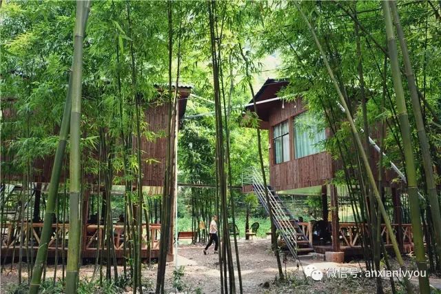 绵阳50元包吃住的民宿,绵阳禅茶清谷民宿哪家好