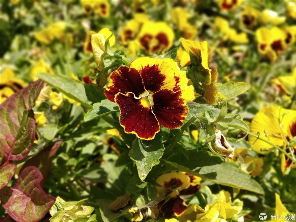 还原手机后是什么样的,还原真实手感