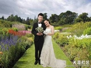 云响建站模板：婚礼品牌策划网站