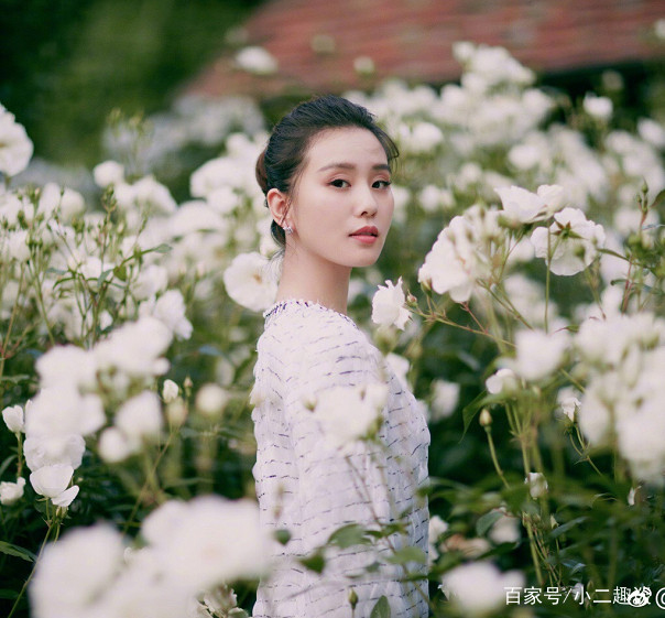 刘诗诗杜维埃,刘诗诗的迷人之美