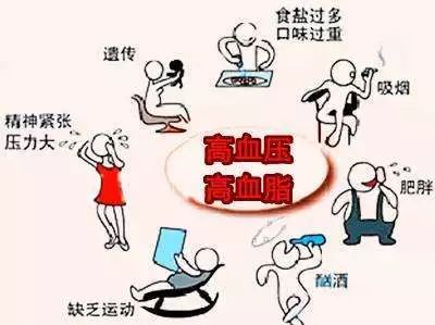 健康养生吃素有什么讲究,养生科普吃素能长寿吗