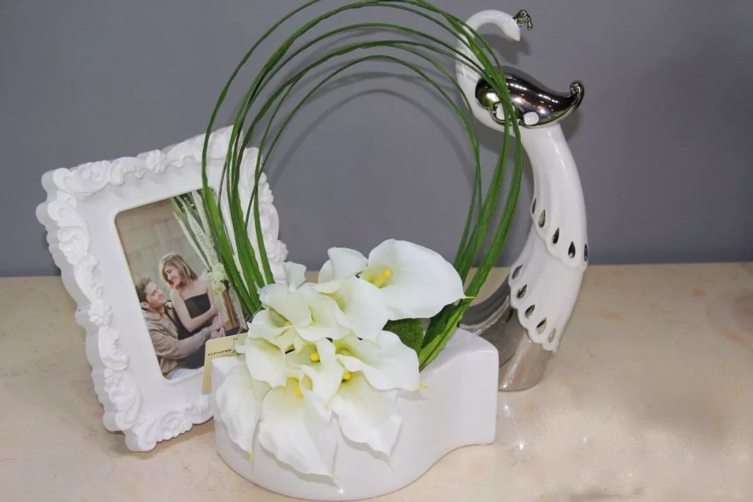 珍稀马蹄莲,如何让马蹄莲一年四季都活着