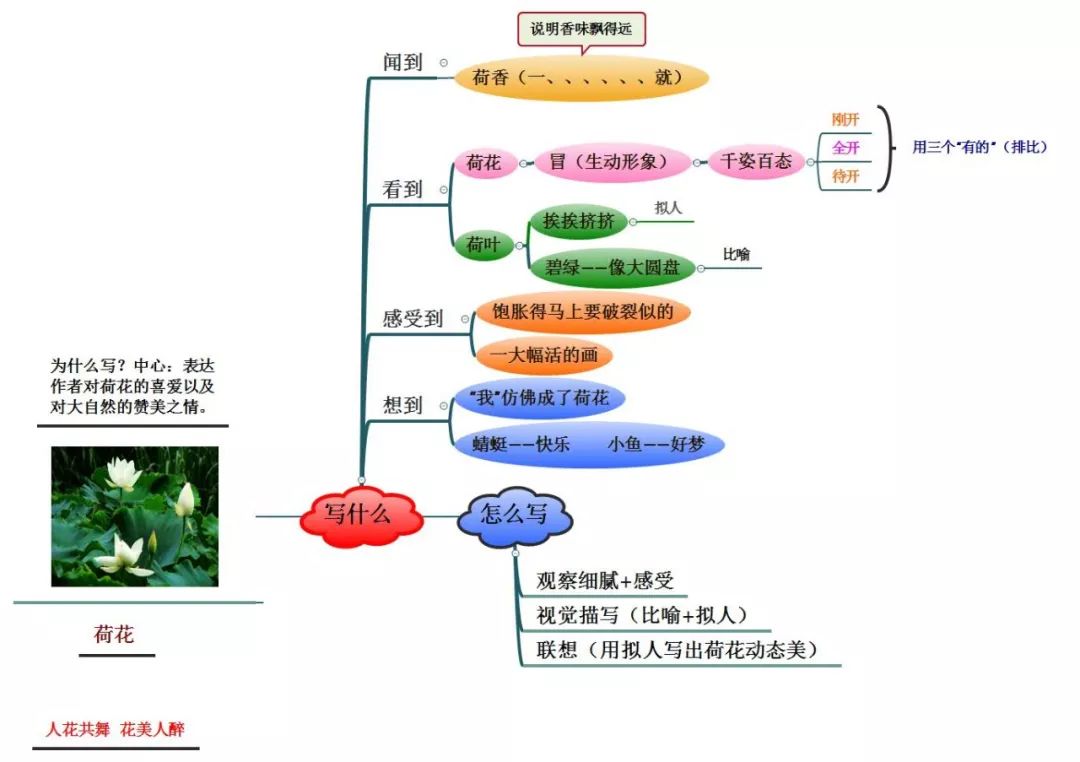 三年级语文1-4单元思维导图大全,三年级语文第一单元思维导图8k纸