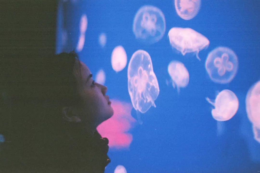 日本发现的大宝藏,日本挖出大宝藏