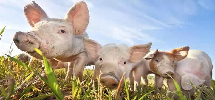 超有气氛的集体照图片,刚拍的你从未见过的集体照