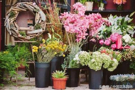 东阳开花店进货渠道,想开花店去哪里进货渠道