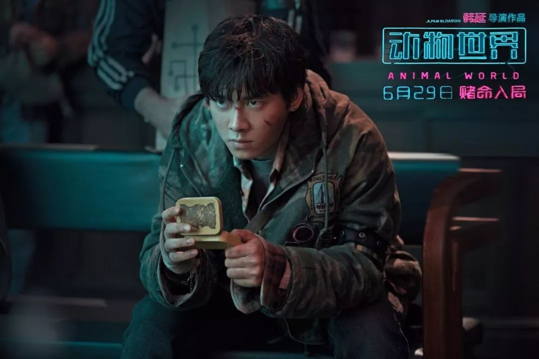 李易峰动物世界电影讲什么,李易峰动物世界在哪看