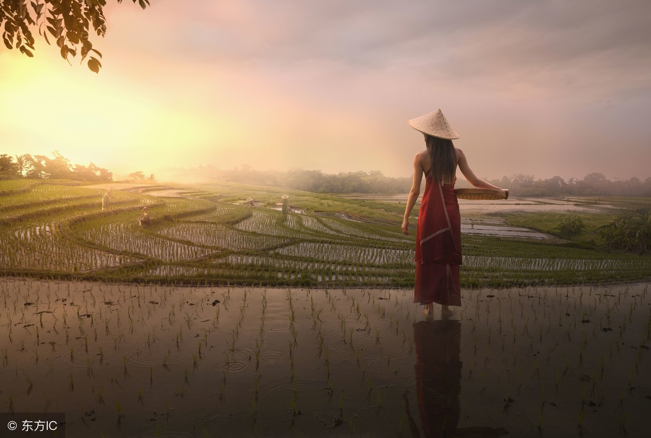 唯美爱情经典诗句英文,古诗爱情诗句英文翻译