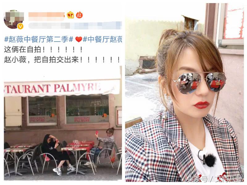 赵薇雕像,赵薇法国骑士勋章