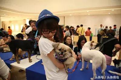 2018青岛世界杯,青岛世界杯