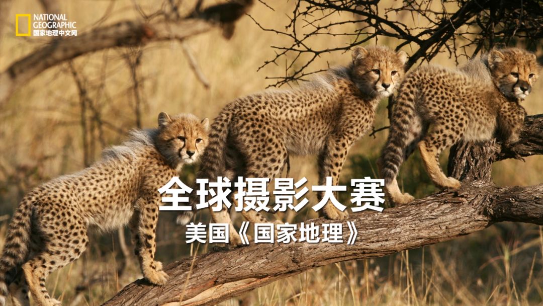 你忙着过七夕,而我用25张图纪念我们共度的这个夏天|夏末特供