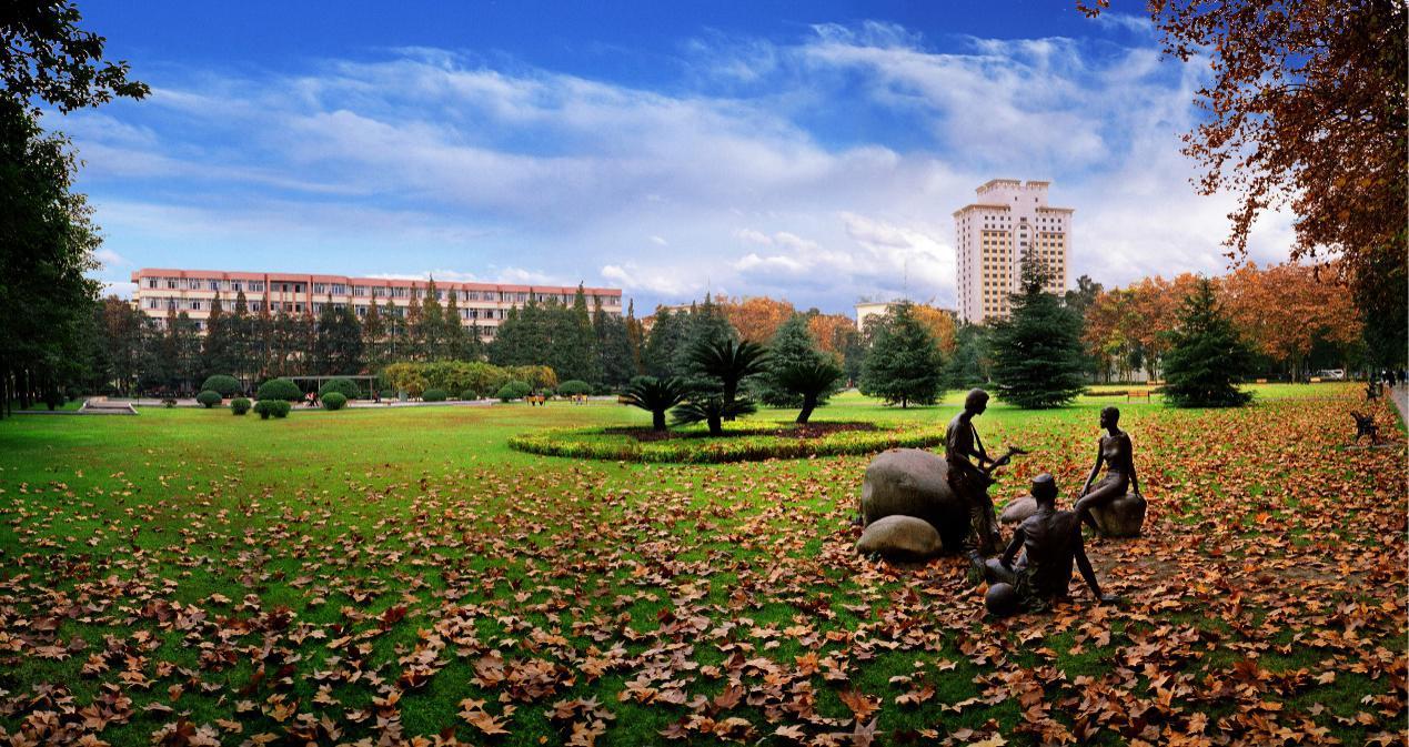 西南财经大学国民经济管理专业,西南财经大学技术经济及管理专业