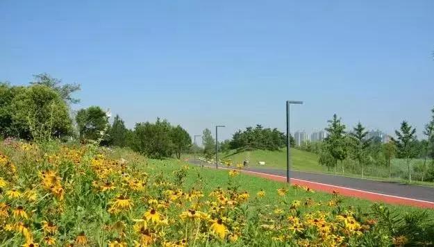 西安雁鸣湖跑道,西安城市运动公园跑道