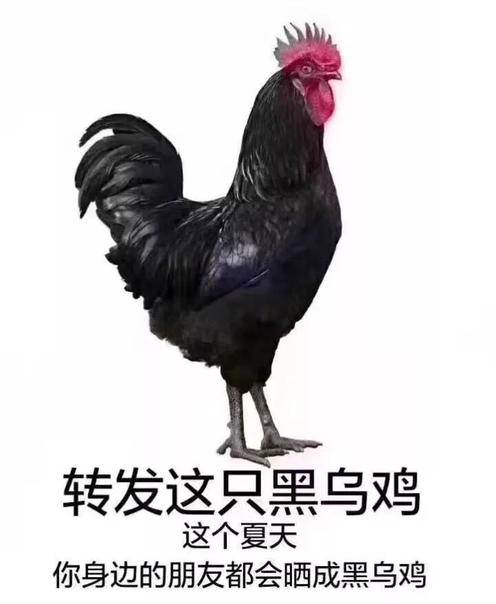 怎么辨别最新版安耐晒的真假,安耐晒真假辨别新版