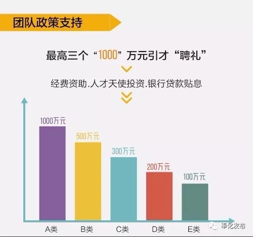 奉化区凤麓最新进展,奉化惠企人才政策一键通