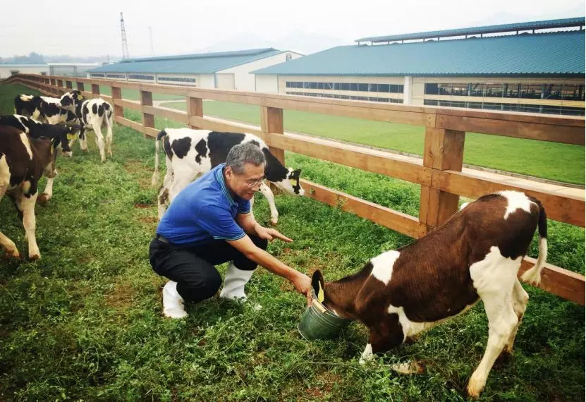 击退洋奶粉，这次以质取胜！