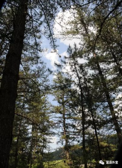 富县与富平是一个地方吗,富县是个好地方手抄报