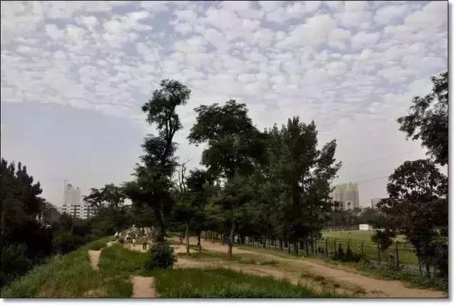 郑州适合夏天玩的旅游景点,郑州夏天旅游景点推荐