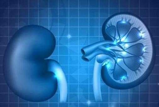 备孕如何做有利于精子质量,备孕期间怎样让精子质量变好