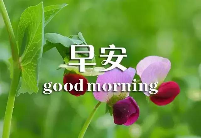 关于早安的句子唯美图片带字,早安语录唯美带字图片