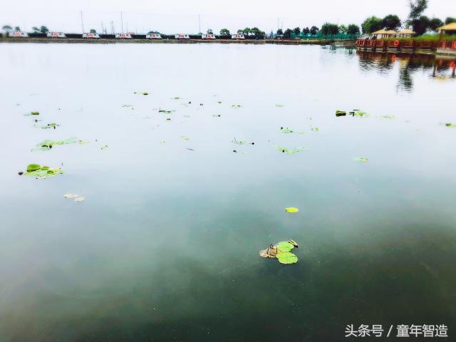 「探营」辣么贵的国际营到底好在哪？