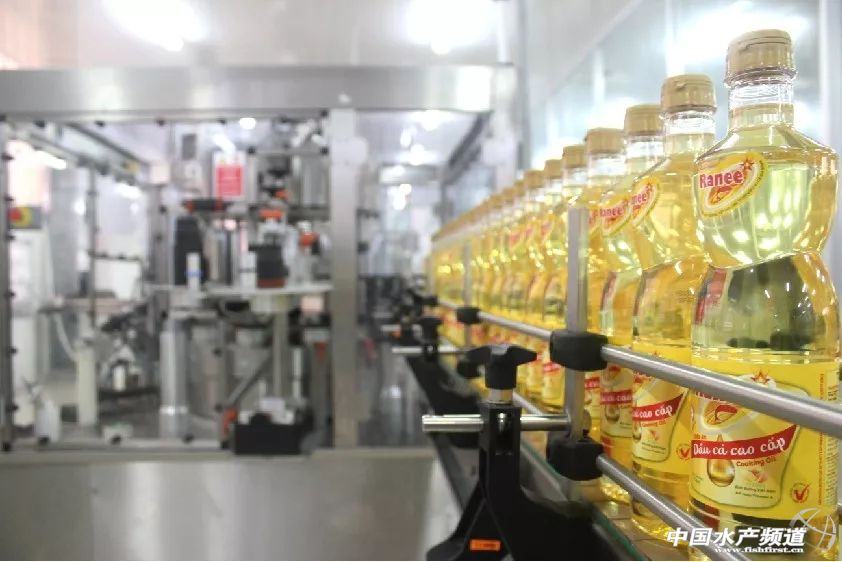 越南巴沙鱼产能,越南河内巴沙鱼工厂简介