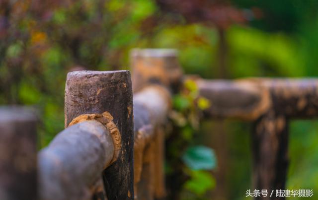 粽情端午南通,粽情端午邻里相约