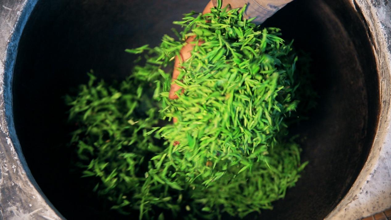 探访谢氏家族,谢裕大最贵的茶