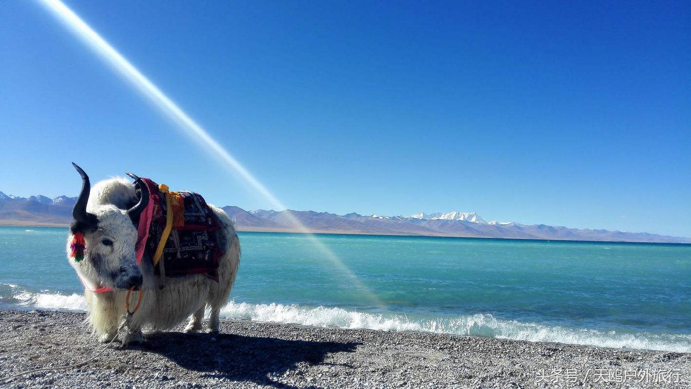 自驾游川藏线纳木错,21年纳木错自驾游美好记忆回放