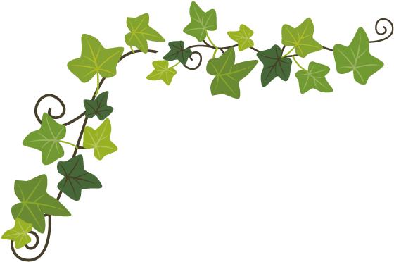 奉贤区环境教育基地,上海奉贤区英科实业有限公司介绍