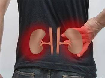 水果山竹营养价值有哪些,山竹水果皇后的功效